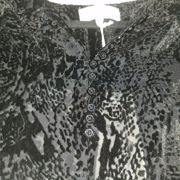 NWT Dear John Verona Spotted Velvet Sheer Top Size S Black Short Sleeve - Picture 5 of 13